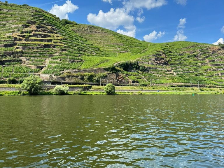 Grüne Weinbergterrassen an einem ruhigen Gewässer unter blauem Himmel.
