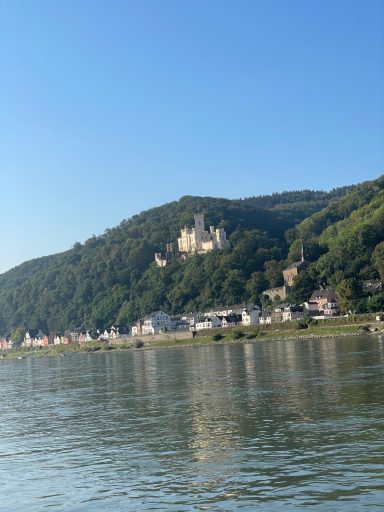 Blick auf eine Burg auf einem Hügel über dem Fluss, umgeben von grünen Wäldern.
